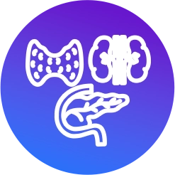 Endocrinologia